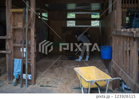 involved with horses involved with horses 123926115