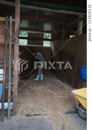 involved with horses involved with horses 123926116