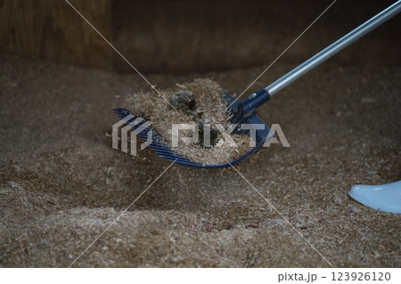 involved with horses involved with horses 123926120