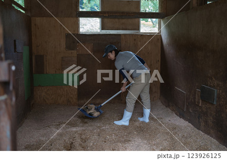 involved with horses 123926125
