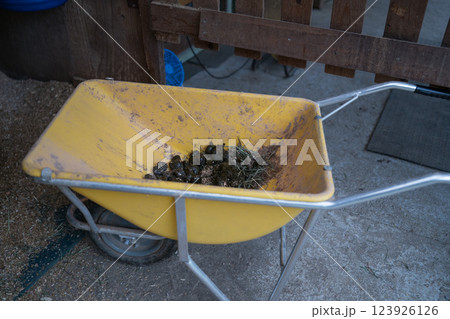 involved with horses 123926126