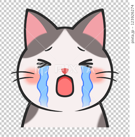 可愛的貓咪哭泣著眼淚 123926274