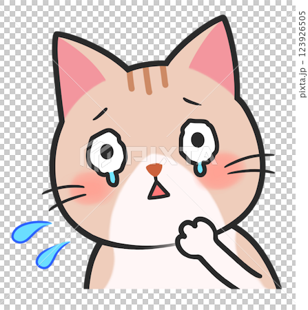 Cute cat worry anxiety trouble Cute cat worry anxiety trouble 123926505