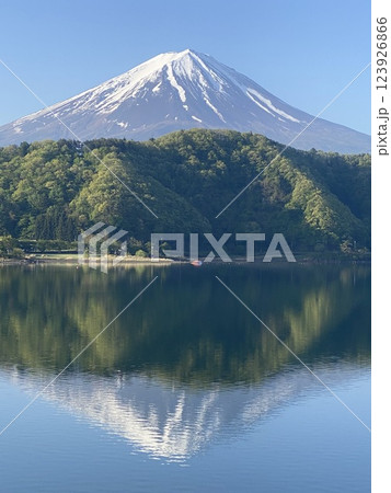 初夏の新緑の足和田山と奥河口湖の湖面に写る残雪の逆さ富士 123926866