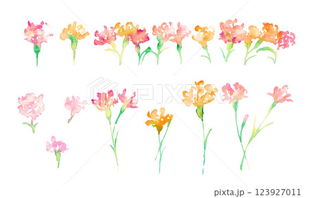 : 水彩画。水彩タッチの母の日カーネーションイラスト。母の日のカーネーション背景ベクターイラスト。 123927011