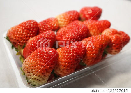 産地直送フレッシュなたくさんのイチゴ 産地直送フレッシュなたくさんのイチゴ 123927015