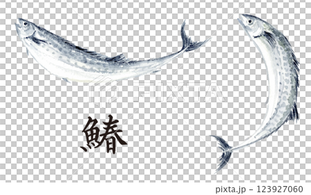 馬鮫魚水墨畫套裝 123927060