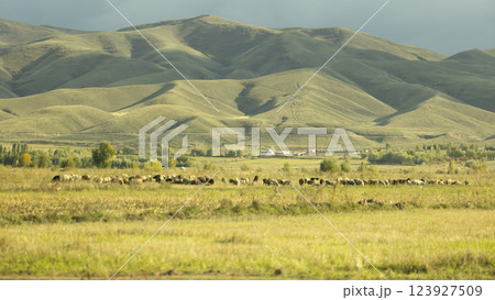 the wilderness and steppe landscape in Issyk-Kul lake Region, a Jeti-Oguz and Tong district, Kyrgyzstan in Central Asia 123927509