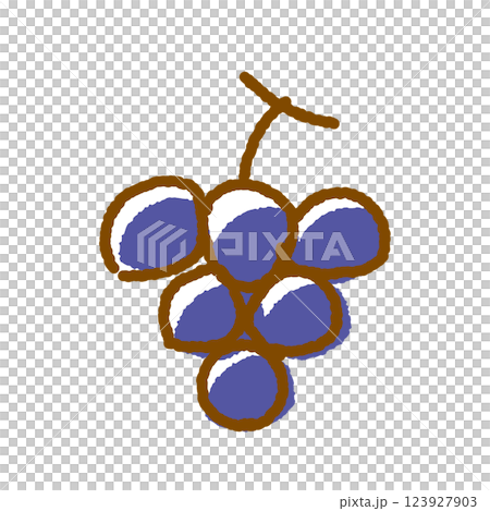 Grape vector illustration 123927903