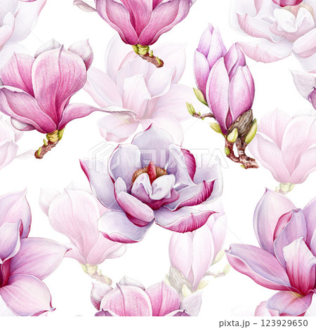 Magnolia pink flowers seamless pattern watercolor illustration. Hand drawn spring tender blossoms on white background. Magnolia flowers seamless pattern floral decoration element 123929650