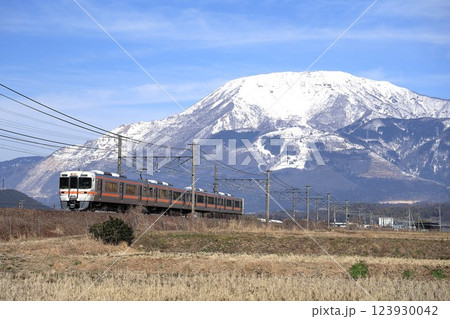 【JR東海】冬の伊吹山と313系0番台(東海道線:近江長岡〜醒ヶ井) 【JR東海】冬の伊吹山と313系0番台(東海道線:近江長岡〜醒ヶ井) 123930042