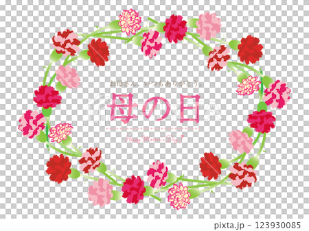 Cute Mother's Day Carnation Bouquet Title Frame Material 123930085