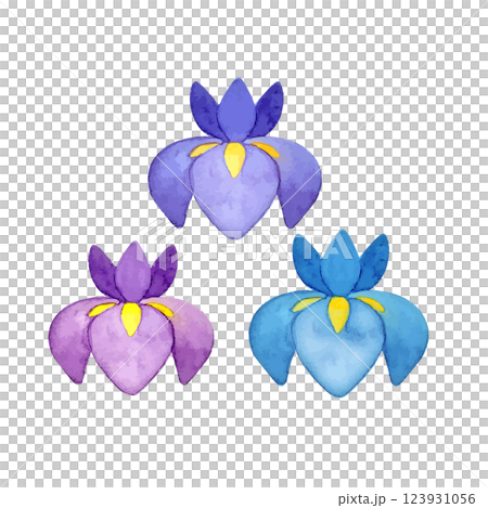 可愛又簡單的鳶尾花水彩插圖 123931056