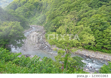秋山郷切明 山奥を流れる中津川 123931063