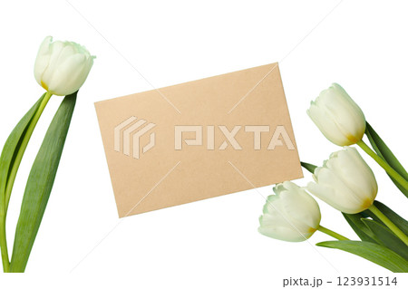 PNG, March 8. Greeting card, with space for text, isolated on white background. 123931514