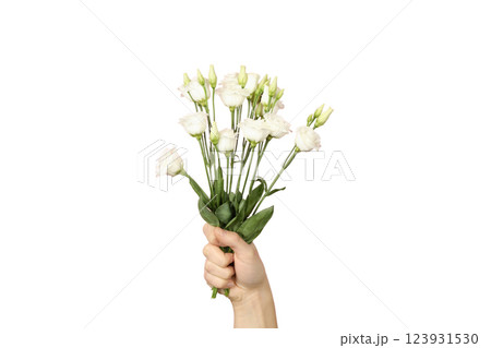 PNG, March 8. Bouquet of flowers in hands, isolated on white background. PNG, March 8. Bouquet of flowers in hands, isolated on white background. 123931530