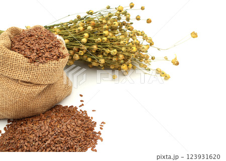 A rustic jute sack overflows with flax seeds, complemented by sprigs of dried flax plants. A rustic jute sack overflows with flax seeds, complemented by sprigs of dried flax plants. 123931620