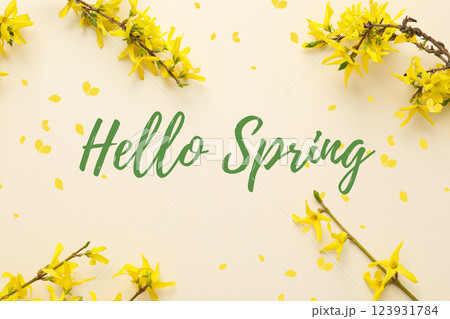 Hello spring, branches of blooming yellow acacia on a light background, top view, with text Hello spring, branches of blooming yellow acacia on a light background, top view, with text 123931784