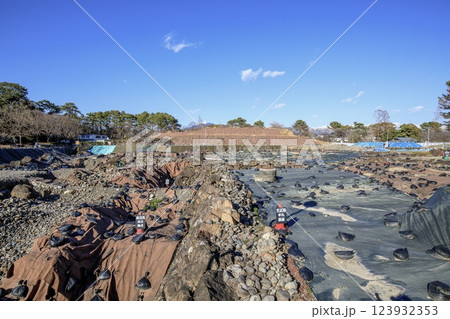 静岡市、駿府城天守台の発掘調査現場 123932353