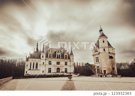 ヨーロッパの古城イメージ　シュノンソー城 123932365