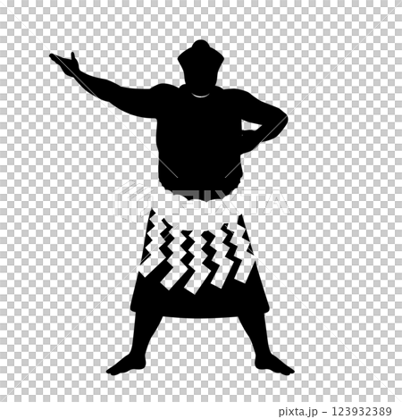 Sumo icon 123932389