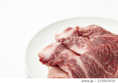白い皿に乗った牛肉 白バック 白い皿に乗った牛肉 白バック 123932414