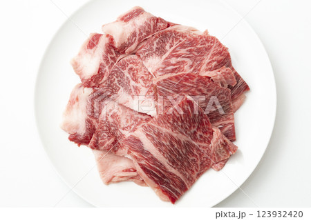 白い皿に乗った牛肉 白バック 白い皿に乗った牛肉 白バック 123932420