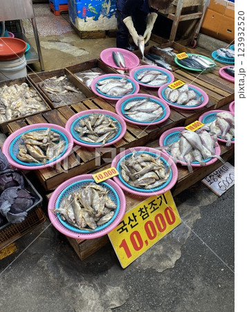 Fresh Fish for Sale at the Market 123932520