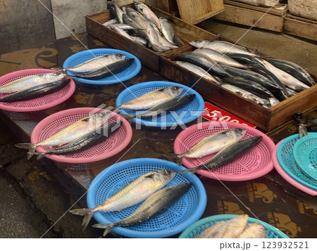 Fresh Fish for Sale at the Market 123932521