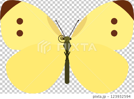 モンキチョウのイラスト 123932594