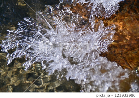 水面に浮かぶ氷の結晶 123932980
