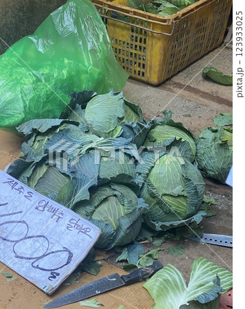 Fresh Cabbage for Sale at the Market Fresh Cabbage for Sale at the Market 123933025