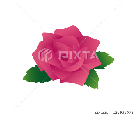赤いバラのシンプルなイラスト 123933072