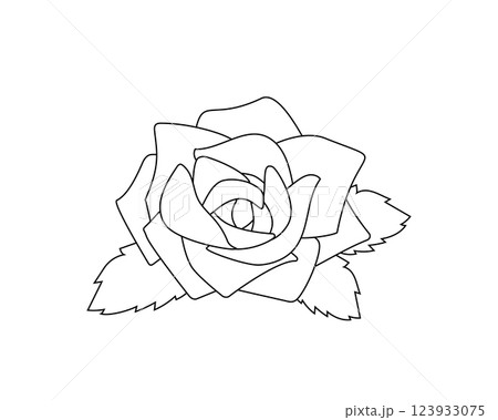 シンプルなバラの線画イラスト 123933075