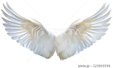 Angel wings. Generative AI 123933559