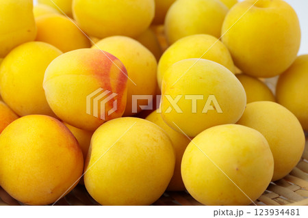 熟した大粒梅の実　 123934481