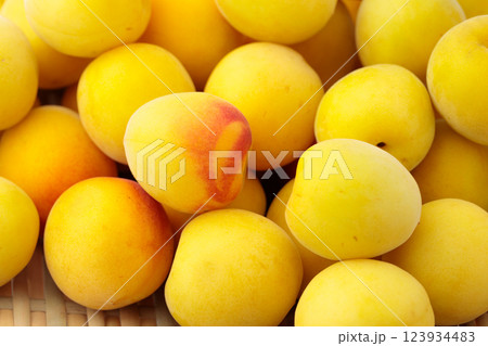 熟した大粒梅の実  熟した大粒梅の実  123934483