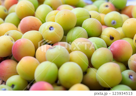 熟した小梅の実 123934513