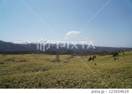 知床五湖から見える積雪知床連山と青空 123934629