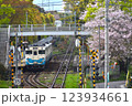 JR四国キハ40系普通列車 123934661