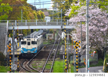 JR四国キハ40系普通列車 JR四国キハ40系普通列車 123934661