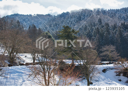春まじかの一乗谷朝倉氏遺跡 123935105