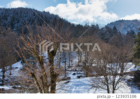 春まじかの一乗谷朝倉氏遺跡 123935106
