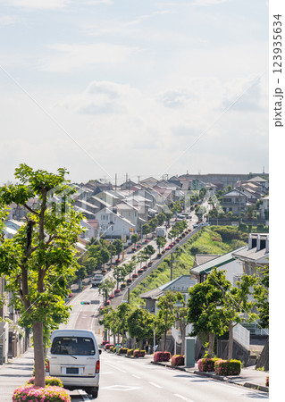 丘陵住宅街の街路 丘陵住宅街の街路 123935634