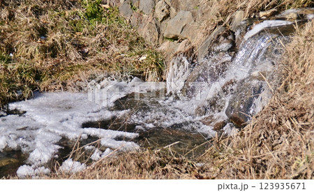 荏沢川石積堰堤の流れと白い氷 123935671