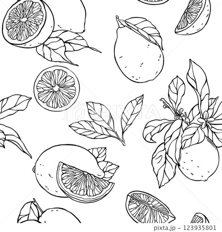 Lemon and leaf pattern. For cards, posters, textiles, etc. with hand drawn elements. 123935801