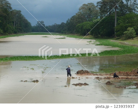 シェムリアップの農民 シェムリアップの農民 123935937