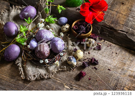 Easter egg dye purple. Homemade Eggs are painted with natural egg dye from dried hibiscus flowers on rustic table. Copy space. Easter egg dye purple. Homemade Eggs are painted with natural egg dye from dried hibiscus flowers on rustic table. Copy space. 123936118