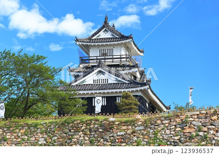 【静岡県】新緑の浜松城 【静岡県】新緑の浜松城 123936537