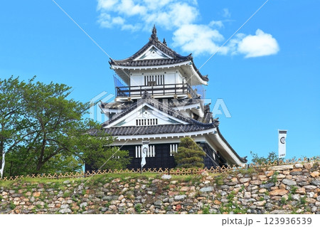 【静岡県】新緑の浜松城 【静岡県】新緑の浜松城 123936539